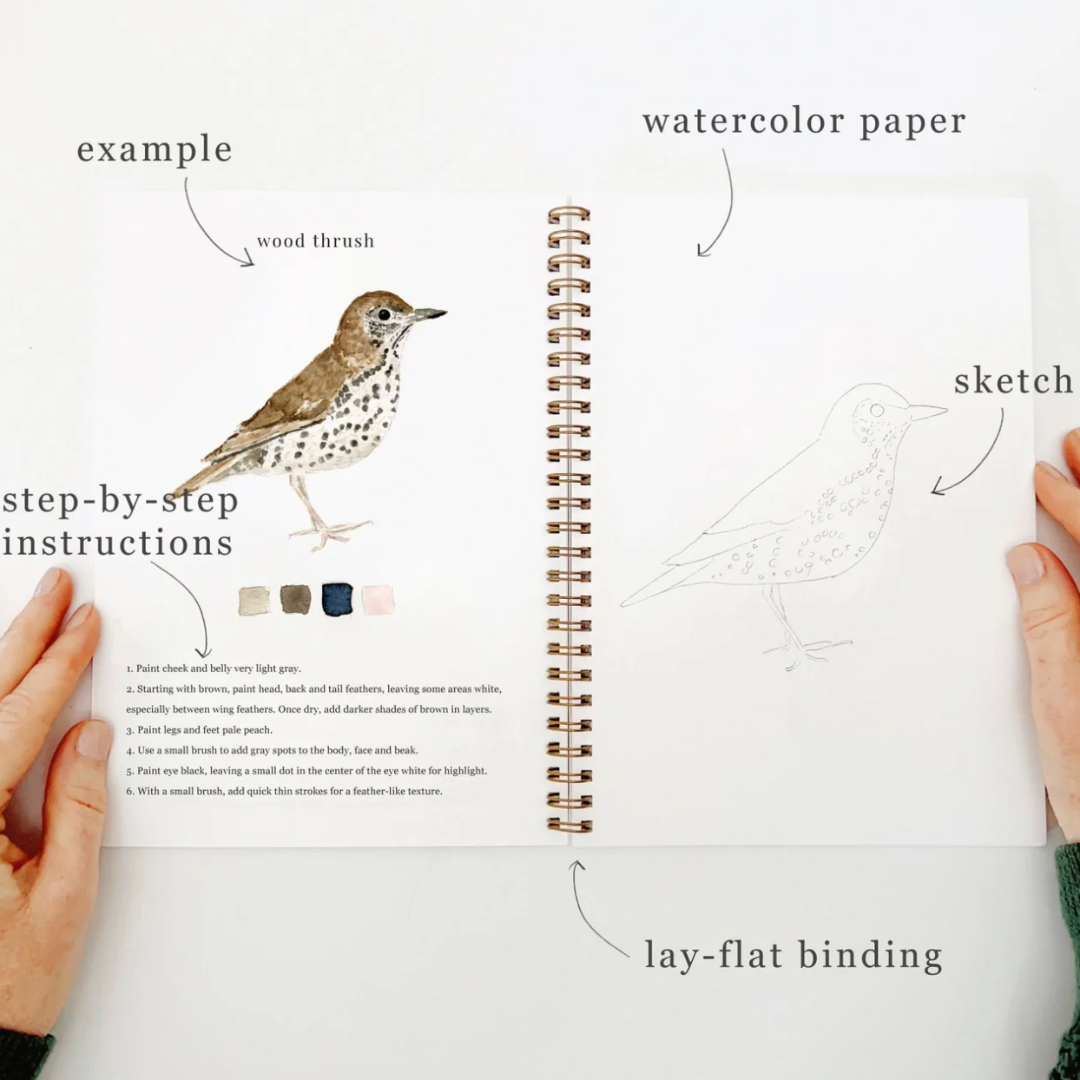 Watercolor Workbook For Adults & Kids