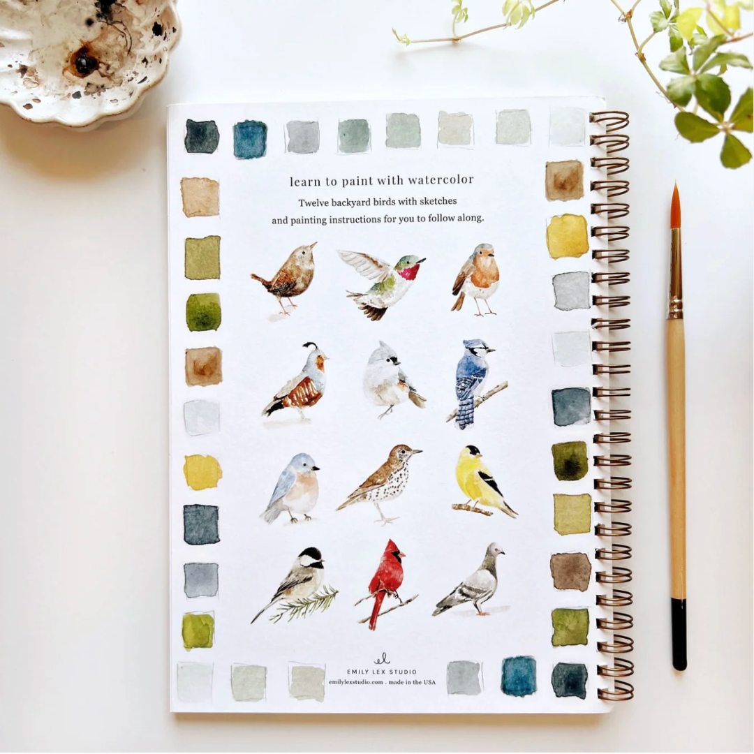 Watercolor Workbook For Adults & Kids