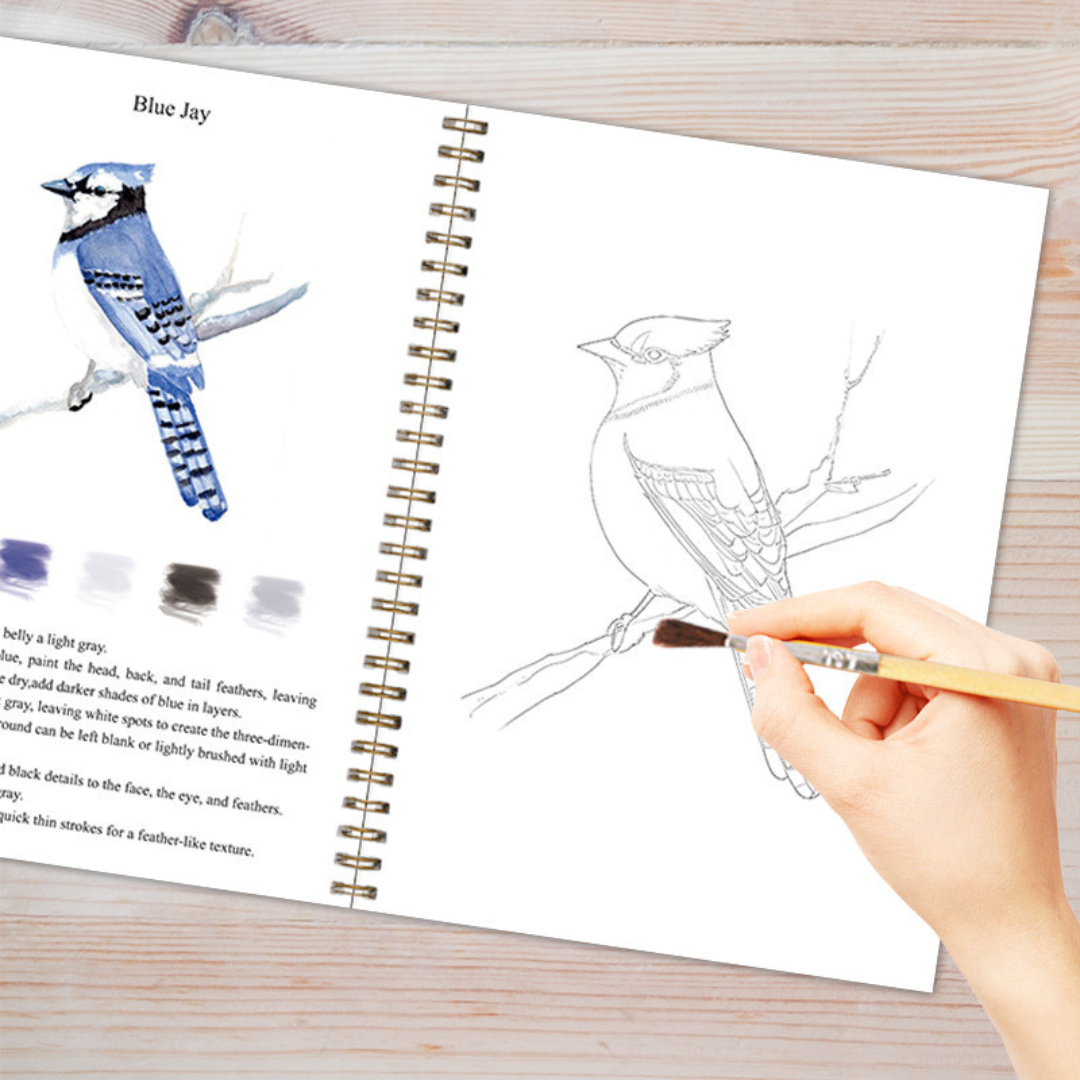 Watercolor Workbook For Adults & Kids